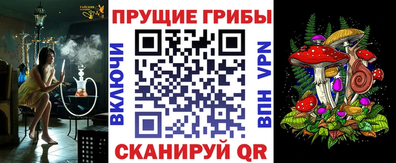 blacksprut зеркало  Хадыженск  Галлюциногенные грибы Psilocybe 